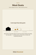 Meat Goats diagram — Animal Guide from Holly's Homestead