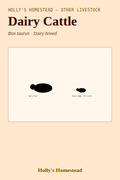 Dairy Cattle diagram — Animal Guide from Holly's Homestead