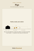 Pigs diagram — Animal Guide from Holly's Homestead