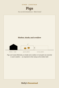 Holly’s Homestead pigs guide card