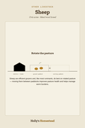 Sheep diagram — Animal Guide from Holly's Homestead