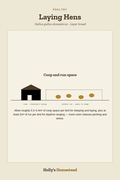 Real diagram from the Laying Hens animal guide