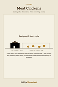 Meat Chickens diagram — Animal Guide from Holly's Homestead