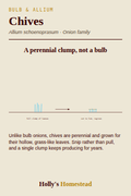 Chives diagram — Grow Guide from Holly's Homestead