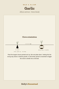 Garlic diagram — Grow Guide from Holly's Homestead
