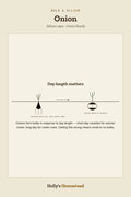 Onion diagram — Grow Guide from Holly's Homestead