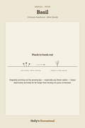 Basil grow guide from Holly's Homestead
