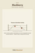 Blackberry diagram — Grow Guide from Holly's Homestead