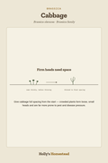 Cabbage grow guide from Holly's Homestead