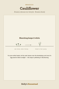 Cauliflower diagram — Grow Guide from Holly's Homestead