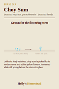 Choy Sum diagram — Grow Guide from Holly's Homestead