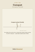 Cumquat diagram — Grow Guide from Holly's Homestead