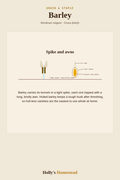 Barley diagram — Grow Guide from Holly's Homestead