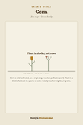 Corn diagram — Grow Guide from Holly's Homestead