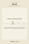 Sorrel diagram — Grow Guide from Holly's Homestead