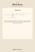 Black Beans diagram — Grow Guide from Holly's Homestead