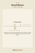 Broad Beans diagram — Grow Guide from Holly's Homestead