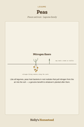 Peas diagram — Grow Guide from Holly's Homestead