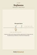 Soybeans diagram — Grow Guide from Holly's Homestead
