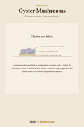 Oyster Mushrooms diagram — Grow Guide from Holly's Homestead