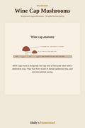 Wine Cap Mushrooms diagram — Grow Guide from Holly's Homestead