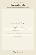 Lemon Myrtle diagram — Grow Guide from Holly's Homestead