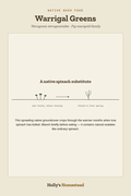 Warrigal Greens diagram — Grow Guide from Holly's Homestead