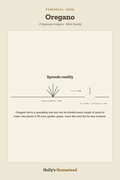Oregano diagram — Grow Guide from Holly's Homestead