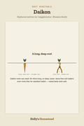 Daikon diagram — Grow Guide from Holly's Homestead