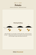 Potato diagram — Grow Guide from Holly's Homestead