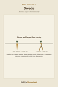Swede diagram — Grow Guide from Holly's Homestead