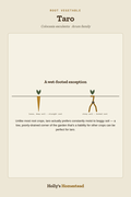 Taro diagram — Grow Guide from Holly's Homestead
