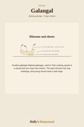 Galangal diagram — Grow Guide from Holly's Homestead