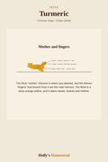 Turmeric diagram — Grow Guide from Holly's Homestead