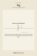 Fig diagram — Grow Guide from Holly's Homestead