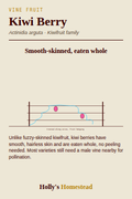Kiwi Berry diagram — Grow Guide from Holly's Homestead