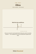 Olive diagram — Grow Guide from Holly's Homestead