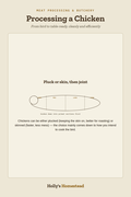 Processing a Chicken diagram — How-To Guide from Holly's Homestead