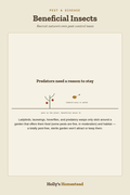 Beneficial Insects diagram — How-To Guide from Holly's Homestead