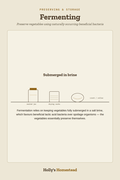 Fermenting diagram — How-To Guide from Holly's Homestead