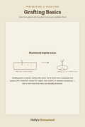 Grafting Basics diagram — How-To Guide from Holly's Homestead