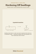 Hardening Off Seedlings diagram — How-To Guide from Holly's Homestead