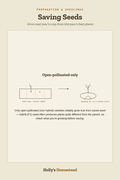 Saving Seeds diagram — How-To Guide from Holly's Homestead